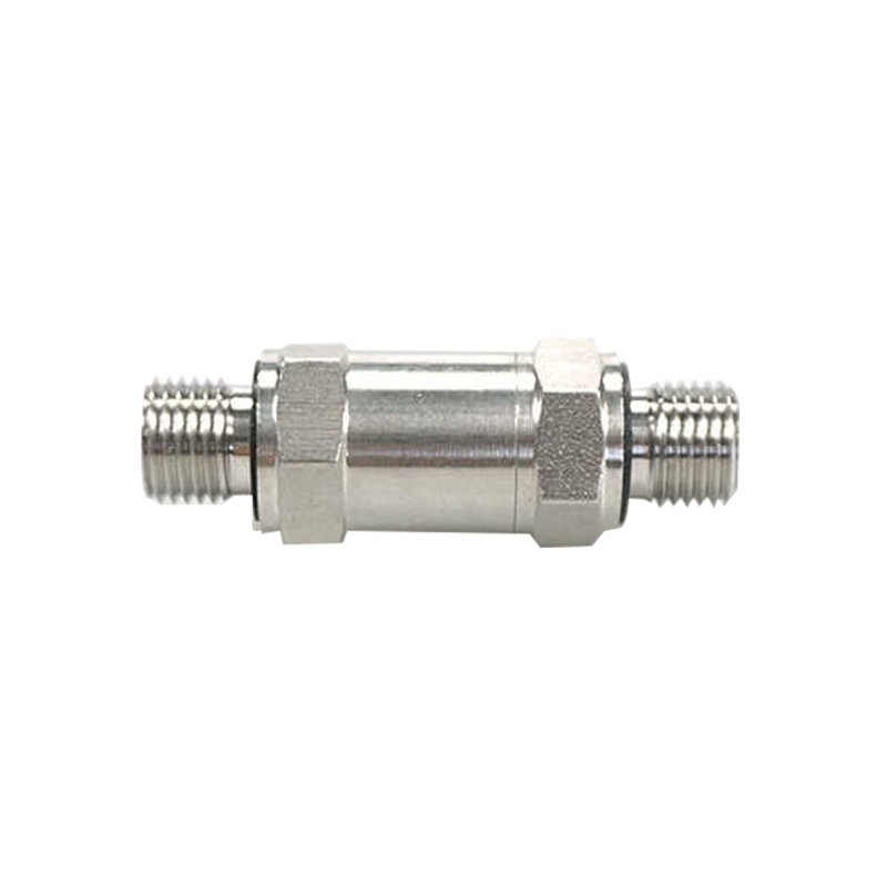 Stainless Steel NPT Male Thread Check Valve